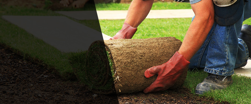 Lamar Landscapers